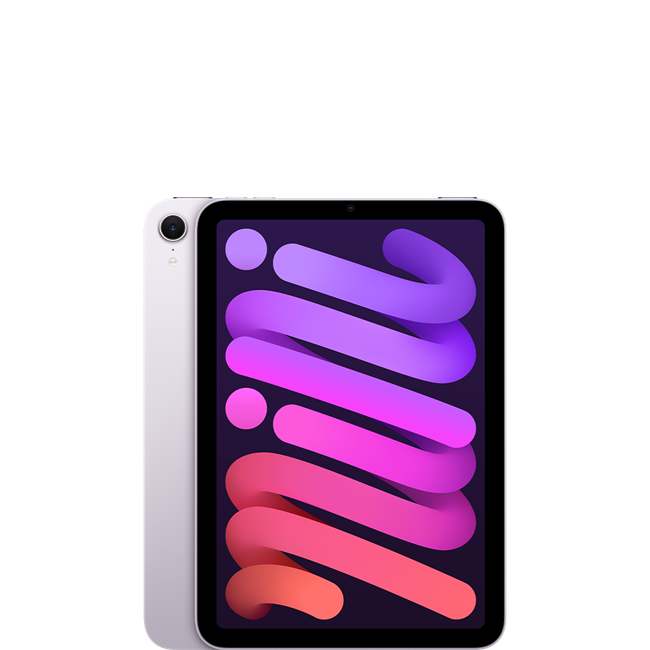mini 1